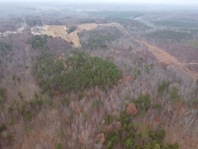Your Private Hunting Paradise: Five Wooded Acres in Halifax, VA - image 2