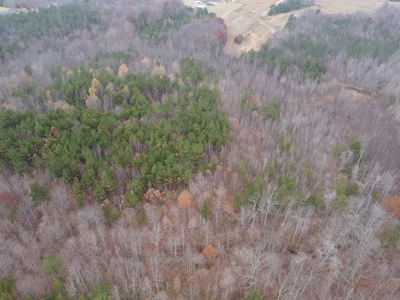 Your Private Hunting Paradise: Five Wooded Acres in Halifax, VA - image 5