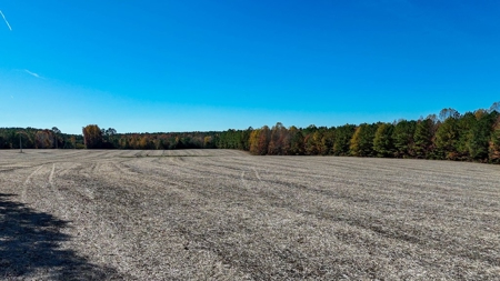 Build Your Dream: Prime Acreage in Rural Lunenburg County, VA - image 5