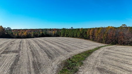 Build Your Dream: Prime Acreage in Rural Lunenburg County, VA - image 15