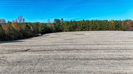 Build Your Dream: Prime Acreage in Rural Lunenburg County, VA - image 4