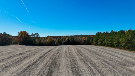 Build Your Dream: Prime Acreage in Rural Lunenburg County, VA - image 7
