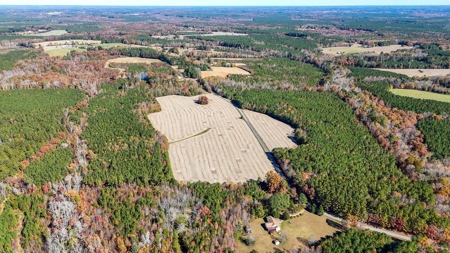 Build Your Dream: Prime Acreage in Rural Lunenburg County, VA - image 11