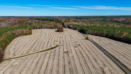 Build Your Dream: Prime Acreage in Rural Lunenburg County, VA - image 10