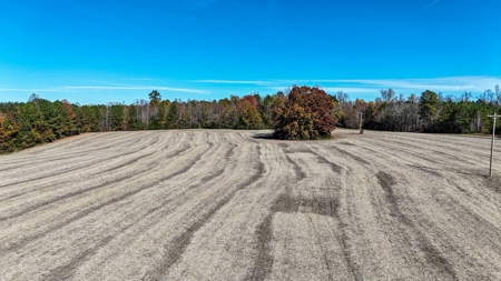Build Your Dream: Prime Acreage in Rural Lunenburg County, VA - image 13