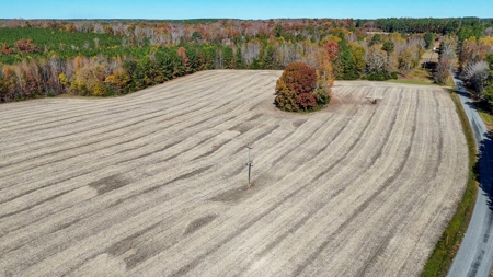 Build Your Dream: Prime Acreage in Rural Lunenburg County, VA - image 9