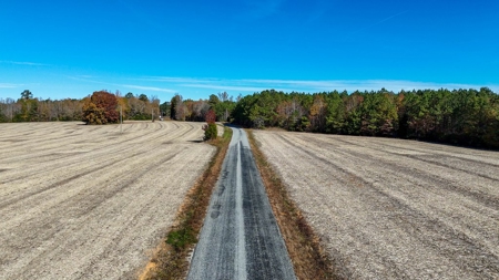 Build Your Dream: Prime Acreage in Rural Lunenburg County, VA - image 12