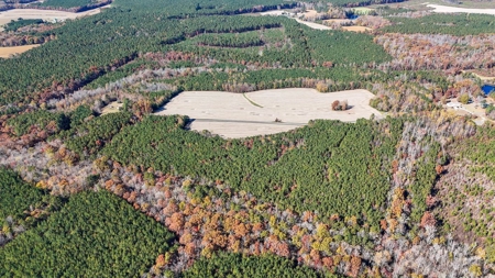 Build Your Dream: Prime Acreage in Rural Lunenburg County, VA - image 16