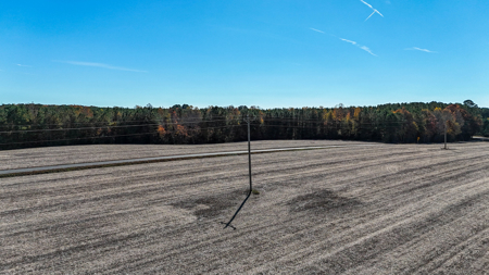 Build Your Dream: Prime Acreage in Rural Lunenburg County, VA - image 16