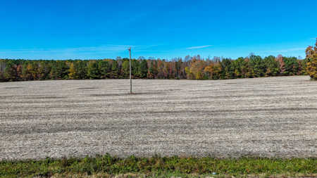 Build Your Dream: Prime Acreage in Rural Lunenburg County, VA - image 6