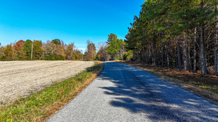Build Your Dream: Prime Acreage in Rural Lunenburg County, VA - image 4