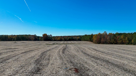 Build Your Dream: Prime Acreage in Rural Lunenburg County, VA - image 8