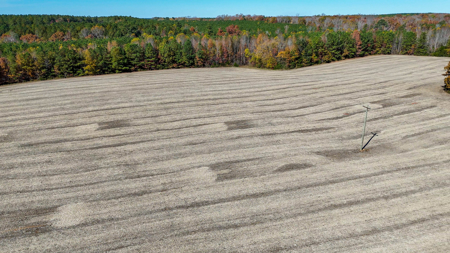 Build Your Dream: Prime Acreage in Rural Lunenburg County, VA - image 10