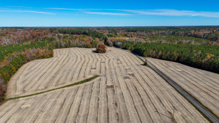 Build Your Dream: Prime Acreage in Rural Lunenburg County, VA - image 12