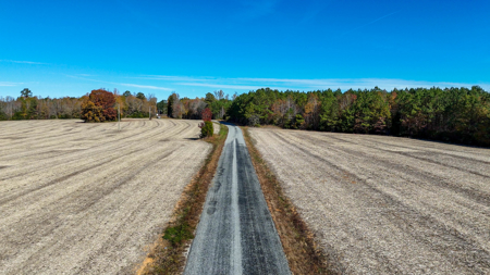 Build Your Dream: Prime Acreage in Rural Lunenburg County, VA - image 14