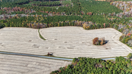 Build Your Dream: Prime Acreage in Rural Lunenburg County, VA - image 1