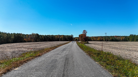 Build Your Dream: Prime Acreage in Rural Lunenburg County, VA - image 5