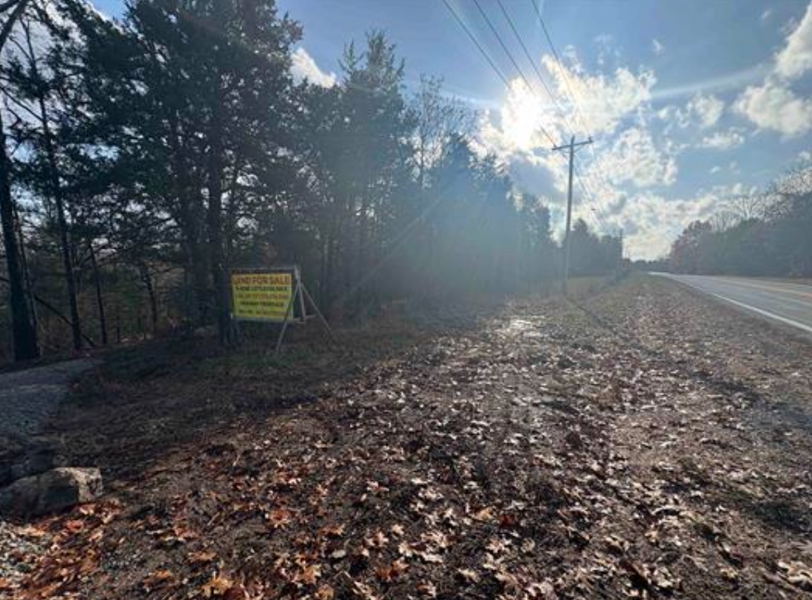 No Caption