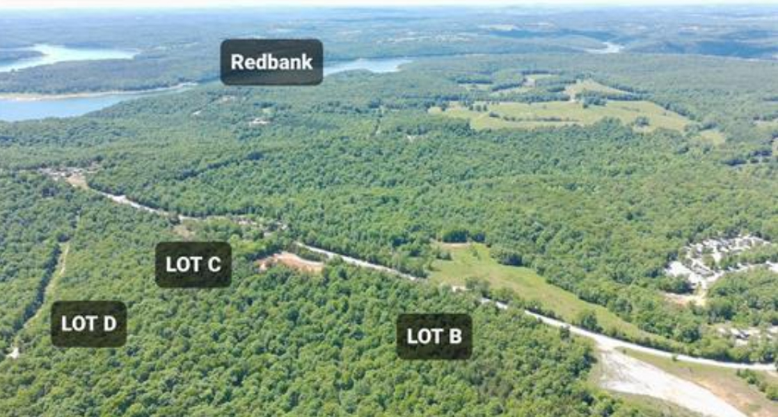 No Caption