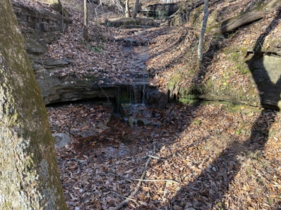 Land for Sale in Wayne County, Tennessee - image 5