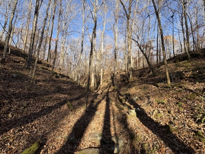 Land for Sale in Wayne County, Tennessee - image 4