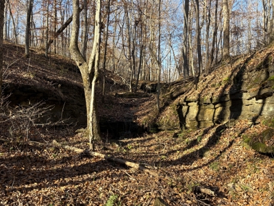 Land for Sale in Wayne County, Tennessee - image 3