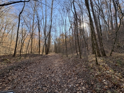 Land for Sale in Wayne County, Tennessee - image 20