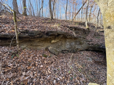 Land for Sale in Wayne County, Tennessee - image 7