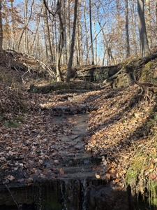 Land for Sale in Wayne County, Tennessee - image 9