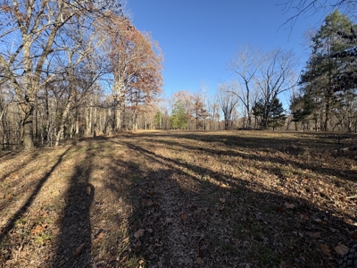 Land for Sale in Wayne County, Tennessee - image 24