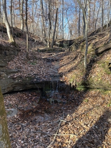 Land for Sale in Wayne County, Tennessee - image 6