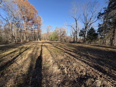 Land for Sale in Wayne County, Tennessee - image 22