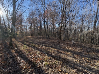 Land for Sale in Wayne County, Tennessee - image 23