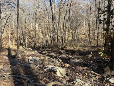 Land for Sale in Wayne County, Tennessee - image 17