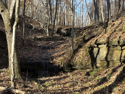 Land for Sale in Wayne County, Tennessee - image 2