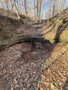 Land for Sale in Wayne County, Tennessee - image 8