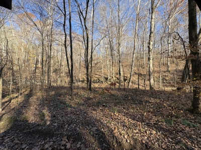 Land for Sale in Wayne County, Tennessee - image 18