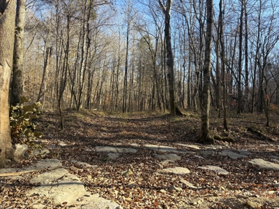 Land for Sale in Wayne County, Tennessee - image 15