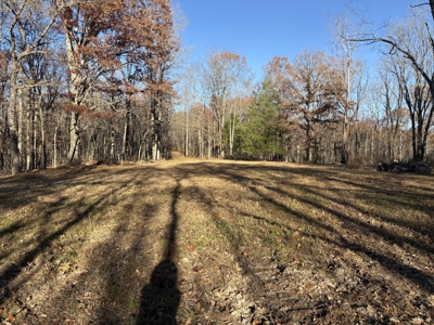 Land for Sale in Wayne County, Tennessee - image 21
