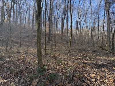 Land for Sale in Wayne County, Tennessee - image 19