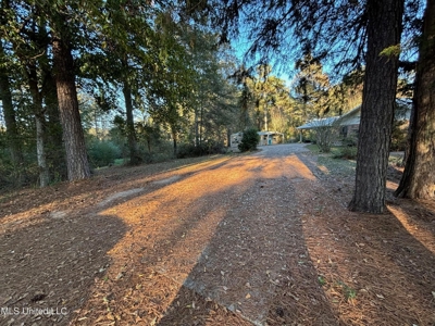 Country Home and 12 Acres in Jasper County, Ms - image 13