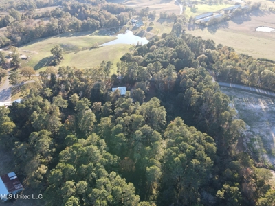 Country Home and 12 Acres in Jasper County, Ms - image 18
