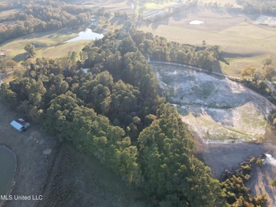 Country Home and 12 Acres in Jasper County, Ms - image 23