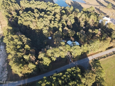 Country Home and 12 Acres in Jasper County, Ms - image 16