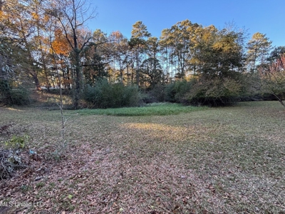 Country Home and 12 Acres in Jasper County, Ms - image 11