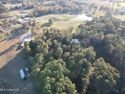 Country Home and 12 Acres in Jasper County, Ms - image 19