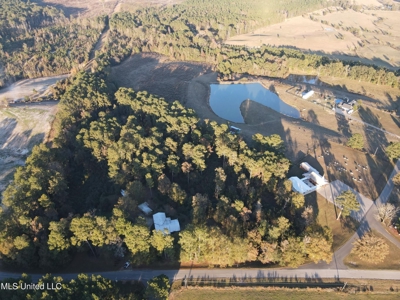 Country Home and 12 Acres in Jasper County, Ms - image 26