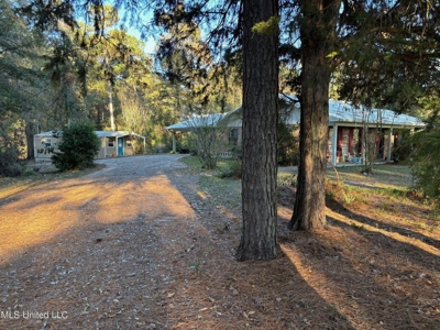 Country Home and 12 Acres in Jasper County, Ms - image 12