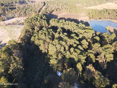 Country Home and 12 Acres in Jasper County, Ms - image 15