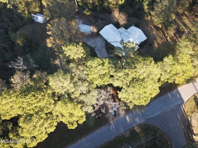 Country Home and 12 Acres in Jasper County, Ms - image 14